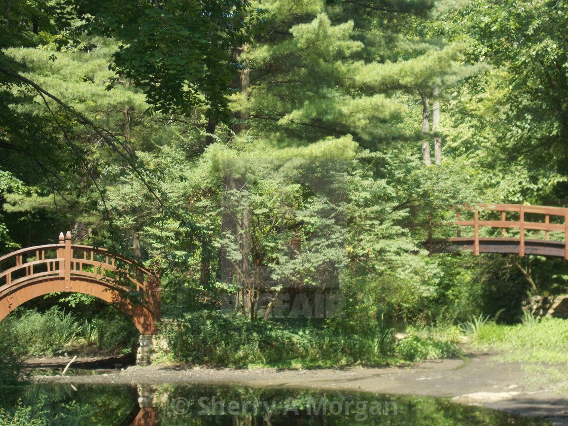 oriental garden - license, download or print for £6.20